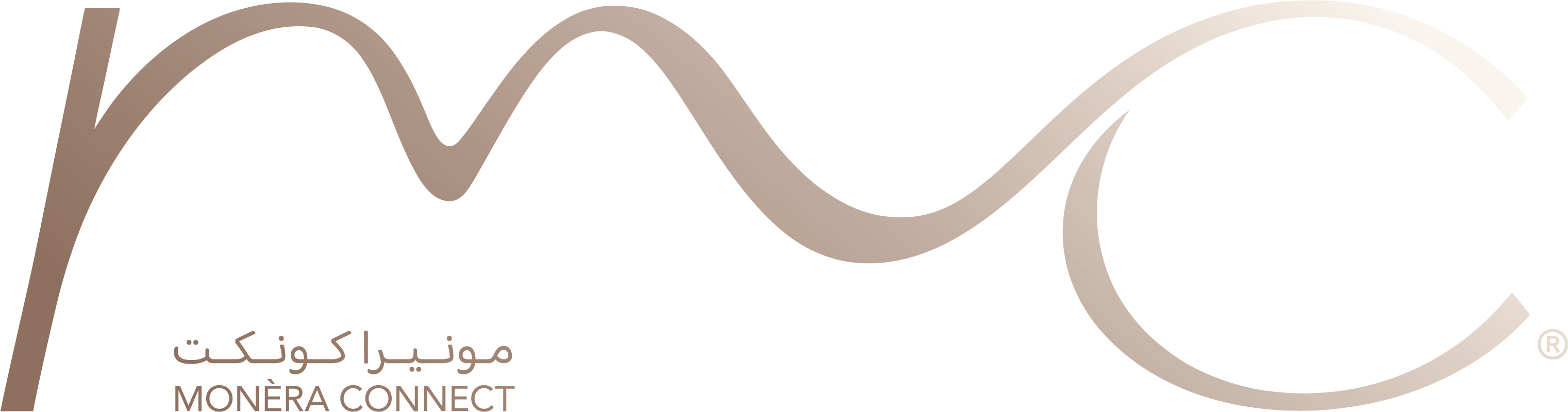 MONÈRA Consulting logo