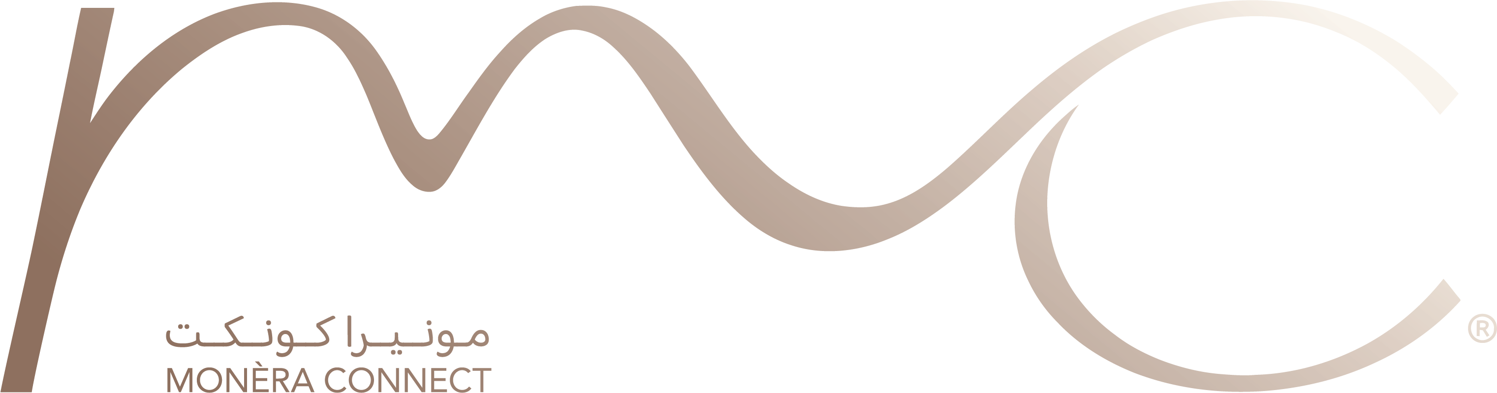 MONÈRA Consulting logo